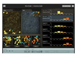 This screenshot shows one experiment students might devise. I've stocked two experimental tanks with thin-shelled snails and two with thick-shelled snails. One tank in each pair also has crabs with bound claws. The histograms show the distribution of shell thickness in each population before I run the simulation.